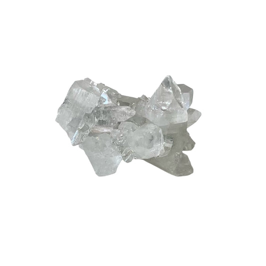 Mini Apophyllite Cluster | CT12